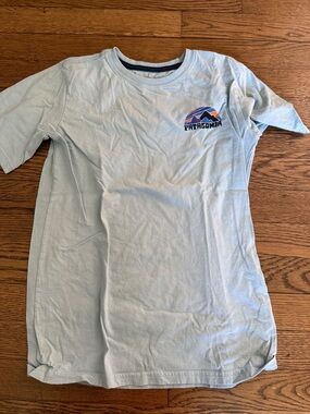 Patagonia Light Blue Kids Short-Sleeve Tee with Mountain Logo